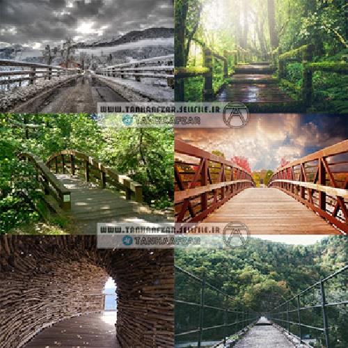 دانلود فایل تصاویر با کیفیت پل ها در طبیعت