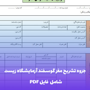 جزوه تشریح مغز گوسفند آزمایشگاه زیست | PDF کامل و تصویری