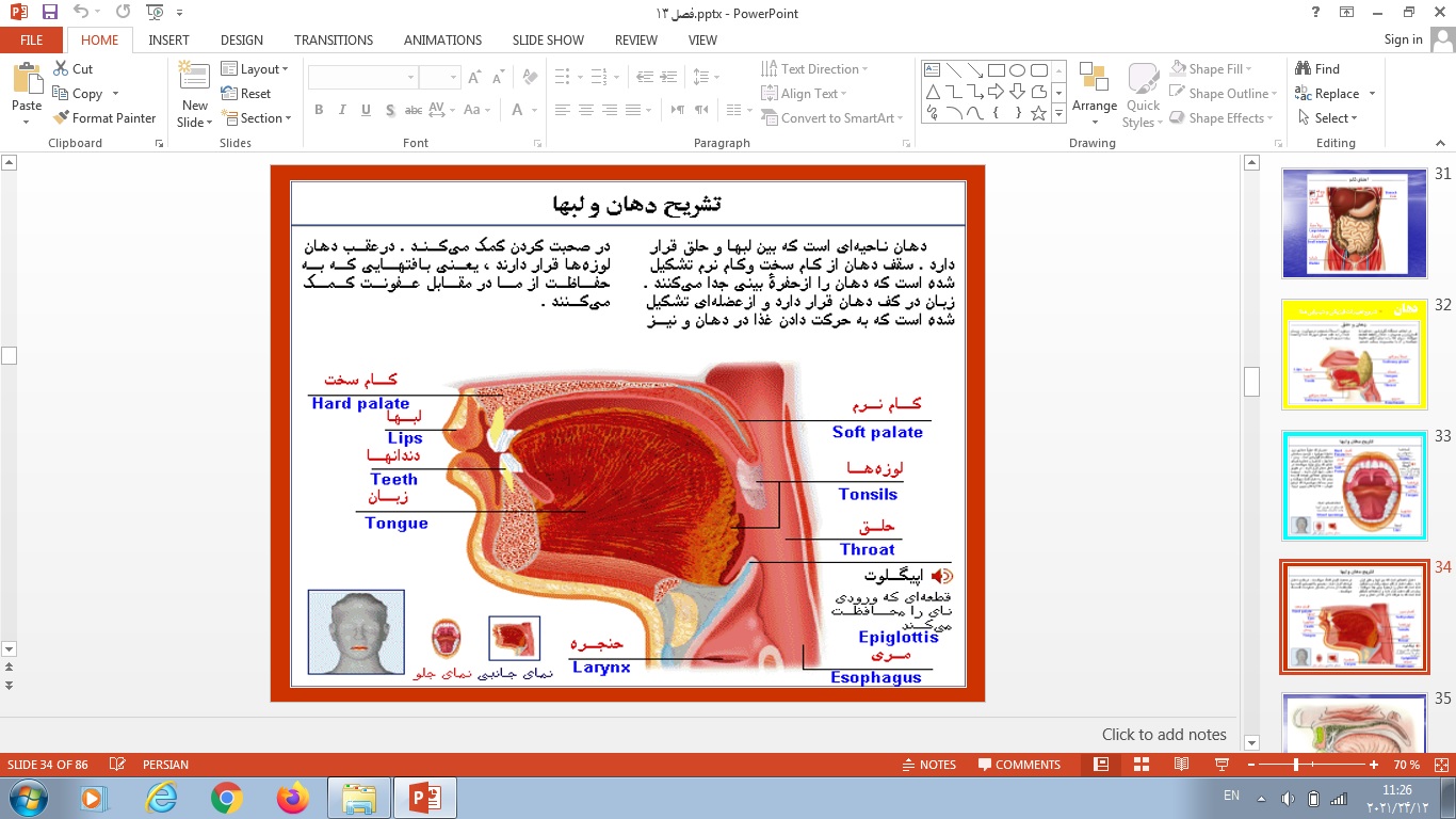 پاورپوینت فصل سیزدهم علوم تجربی پایه هفتم سفر غذا