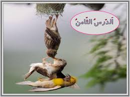 پاورپوینت درس هشتم عربی هشتم (اَلدَّرْسُ الثّامِنُ اَلِعْتِمادُ عَلَی النَّفْسِ) (ppt) 34 اسلاید